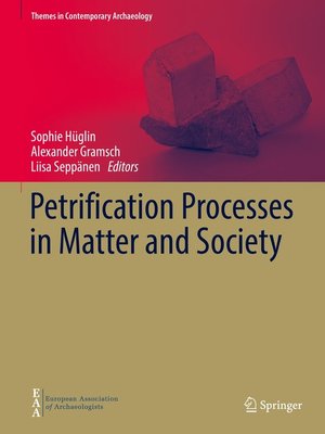 cover image of Petrification Processes in Matter and Society